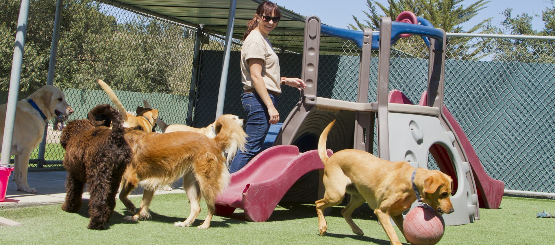 The Benefits of Overnight Boarding: Ensuring Your Dog’s Comfort While You’re Away